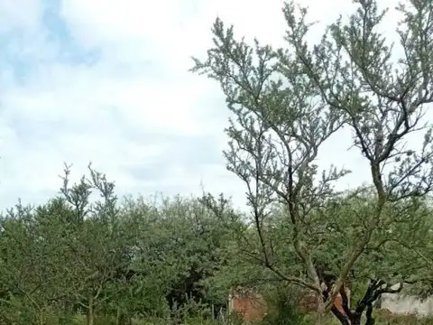 Terreno en Venta en Villa Cura Brochero, USD 10.000