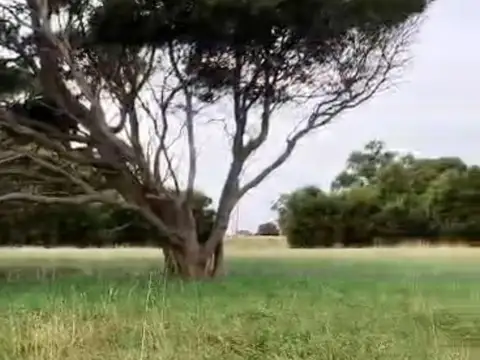 lote 750 mts barrio Marquesado