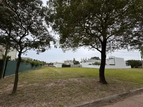 Terreno en Venta 20  mts Frente