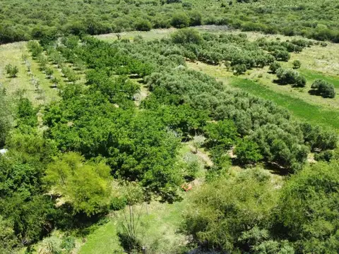 Quinta en Venta en La Población, USD 530.000