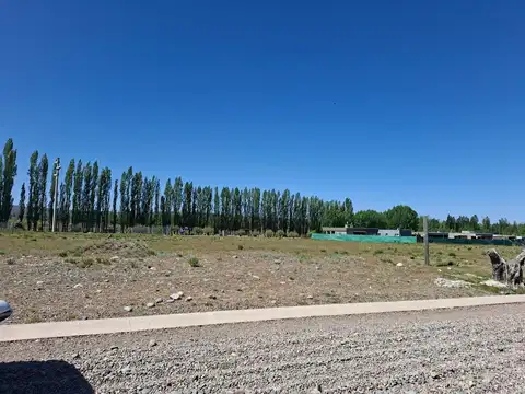 VENTA LOTE BARRIO ENTREVIDES TUPUNGATO