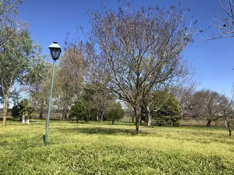 Campo Ruta 14 km 170 Colon Entre Rios  Ha: U$S 6000