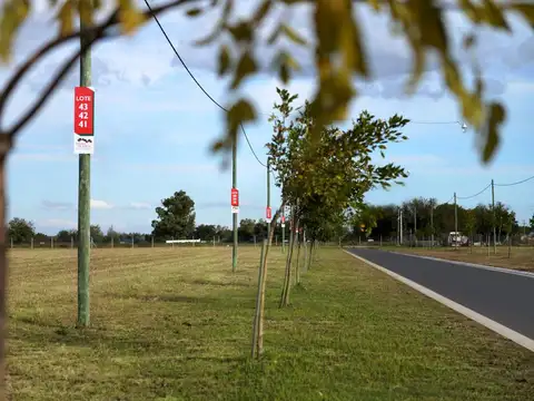 Lomas de Alicia 'Mz W Lt 6