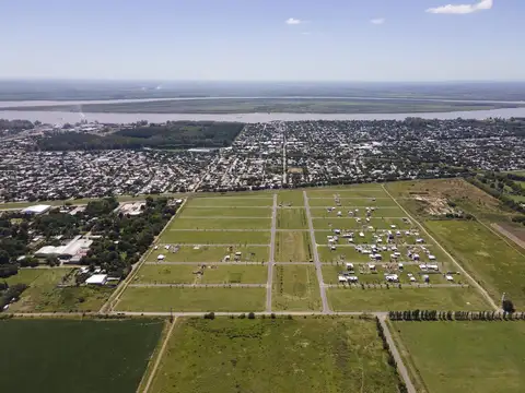 Lomas de Alicia 'Mz W Lt 6