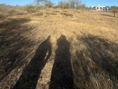Terreno en Venta de 1000,0 m2