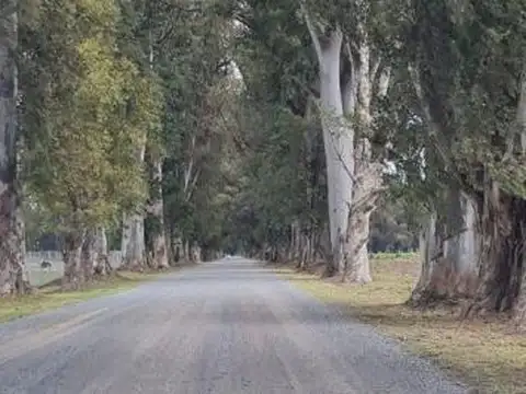 Terreno en Venta en Los Tres Pinos, USD 18.500