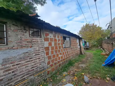 Floresta 600