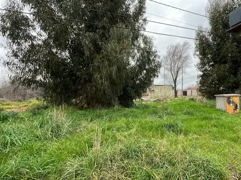 Avenida 91 2800