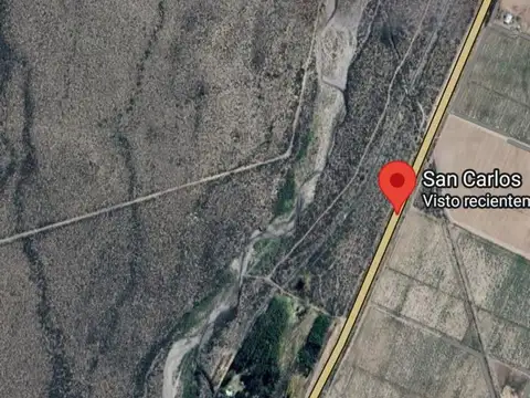 VENTA TERRENO DE 2,5Ha, PAREDITAS, SAN CARLOS MZA