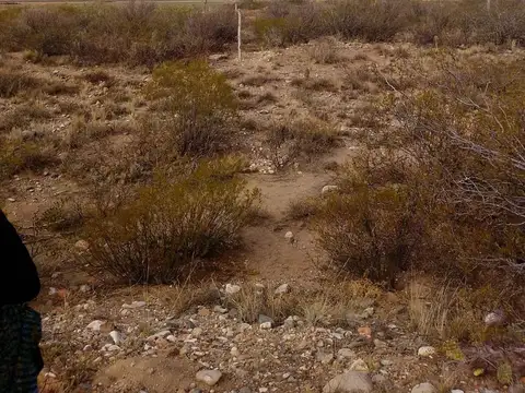 Ruta Provincial N°101 S/N