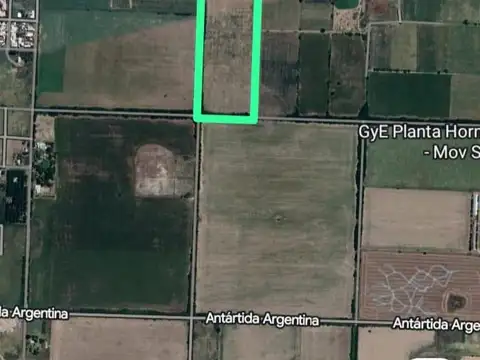 Campo zona sur Esperanza