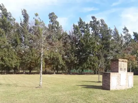 El Cardal Dos