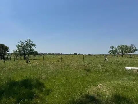 FINCA 3 HECTAREAS EN LUIS PALACIOS EN VENTA