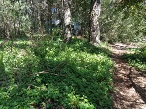 Terreno en Venta 10  mts Frente