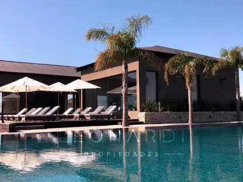 El Naudir - Lote 919