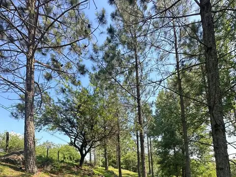 Terreno en Venta en Ascochinga, USD 68.250