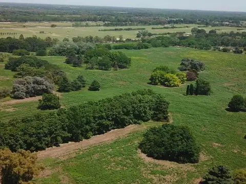 Venta Lotes  San Miguel Pilar  | VCO Propiedades