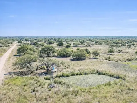 Campo - Venta - Argentina, La Sarita