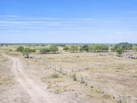 Campo - Venta - Argentina, La Sarita