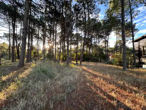 VENTA LOTE PINAMAR NORTE 