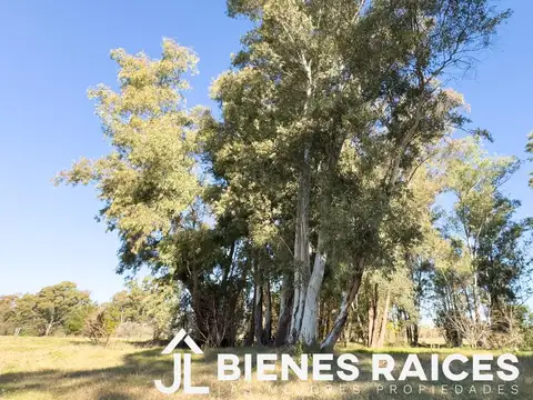 Lote en Pinares Exaltación de la Cruz