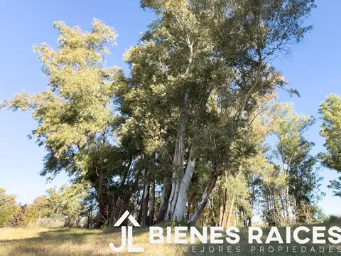 Terreno en Venta 32  mts Frente