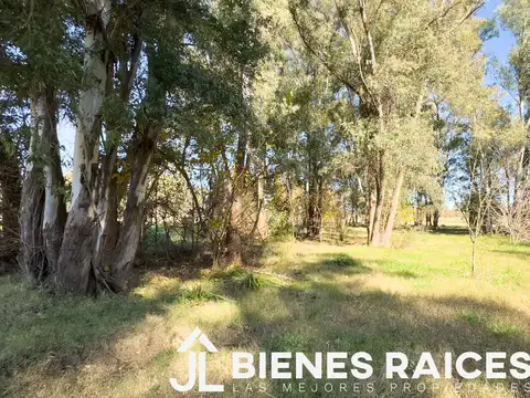 Terreno en Venta 50  mts Fondo