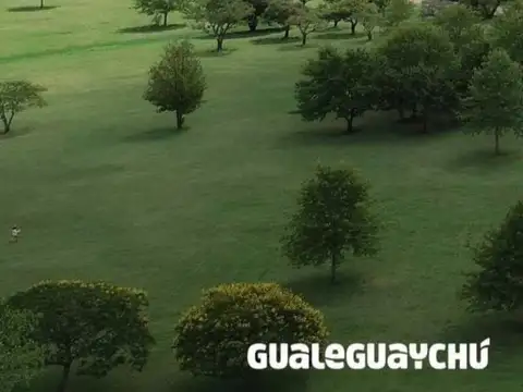 Departamento en Alquiler en Gualeguaychu, Gualeguaychú