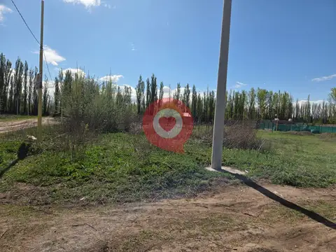 Barrio Los pinos