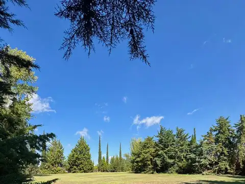 Terreno en Venta de 5623,0 m2
