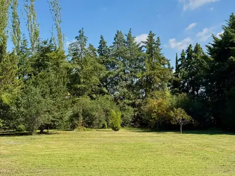 Terreno en Venta en Lujan de Cuyo, USD 250.000