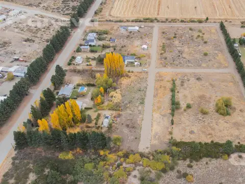 Av. Belgrano, El Maiten, Comarca Andina