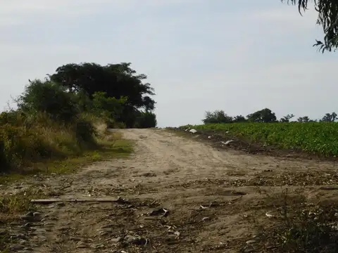 FINCA 34HAS. EN BETANIA GRAL. GUEMES