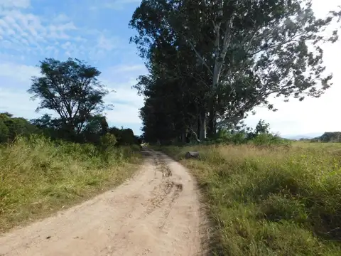 Campo en Venta de 34  ha