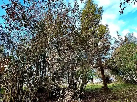 Chubut e/ Río Negro y Neuquén