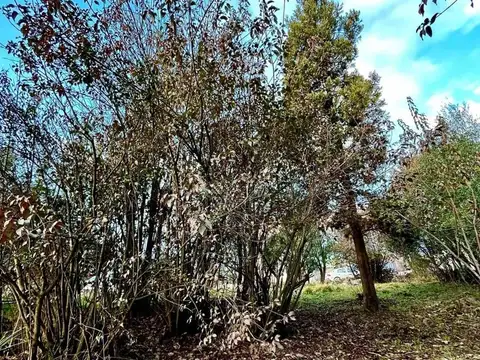 Chubut e/ Río Negro y Neuquén