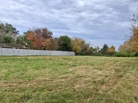López Y Planes 9000