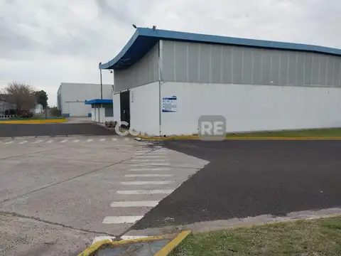 Galpon en Alquiler A Estrenar