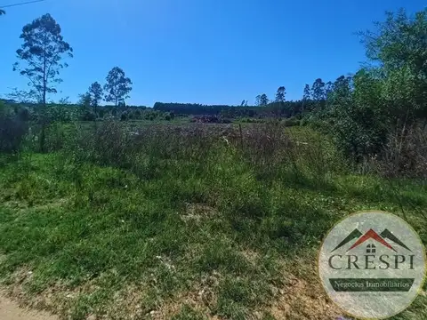 3,6 Hectareas sobre Ruta Nacional 14