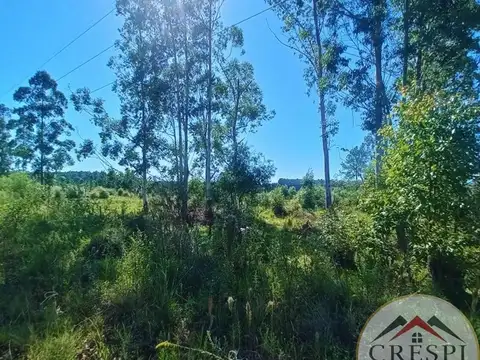 Ruta Nacional 14 KM246