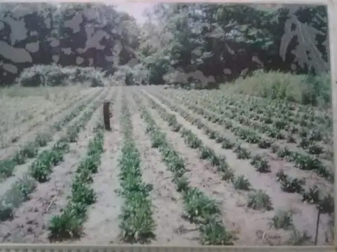 Avenida Alberdi 2600