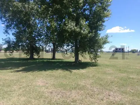 Oficina en Venta 2025 años