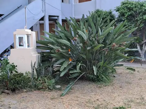 Departamento 5 ambientes con 1 baño