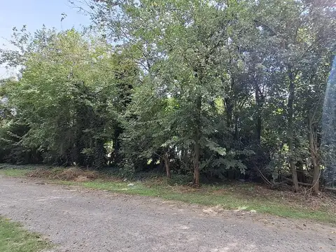 Venta de terreno con casa a reciclar 4500 mts Villa La Ribera - Iriondo