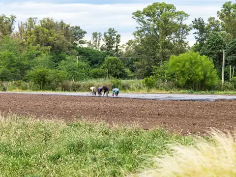 Campo en Venta de 7  ha