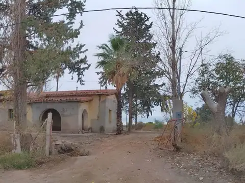 VENTA Finca 4 hectareas en Junin
