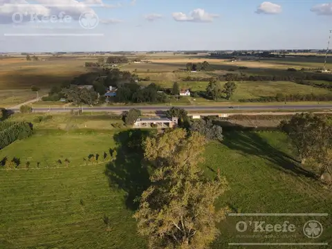 UNICA PROYECTO DE TIERRA PARA DESARROLLO INMOBILIARIO EN VENTA UBICADO SOBRE RUTA 3 KM 186, LAS FLORES