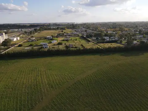 TIERRA PARA DESARROLLO EN VENTA  SOBRE RUTA 3 KM 186, LAS FLORES