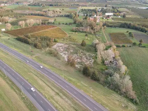 Ruta 5