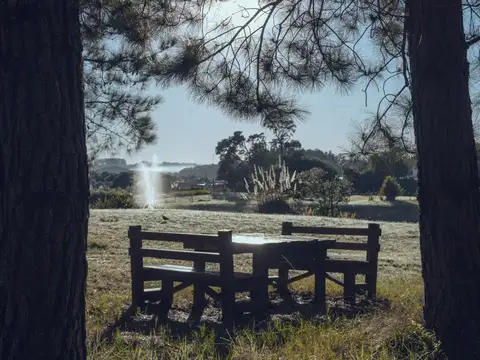 Terreno en Venta de 1000,0 m2